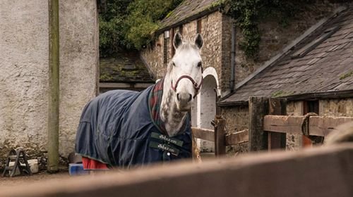 Brennanstown Riding School